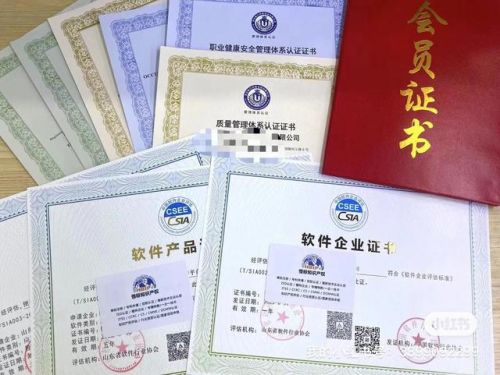 双软认证条件和优惠政策(双软认证在什么部门申请)-第1张图片-