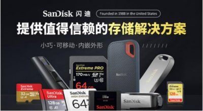 ​十大热门闪存卡排行榜 上榜的有闪迪和金士顿