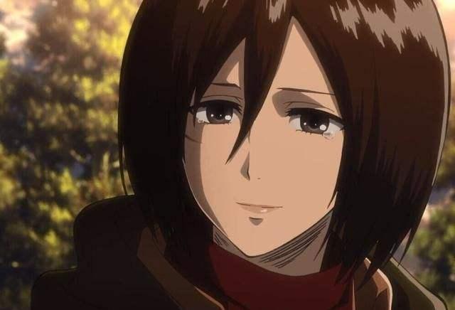 如果让你纳进击的巨人里有腹肌的三笠入后宫,你愿意么?