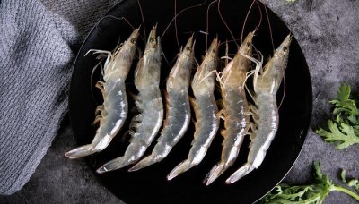 虾是什么意思 虾是什么性质的食物