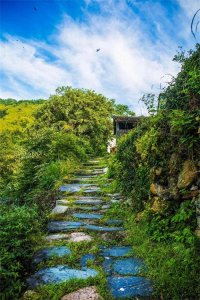 杜荀鹤:唐代著名诗人的传奇一生