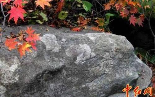 关东山在东北什么位置