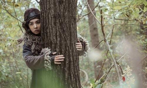 关东山,关东山在东北什么位置?图5