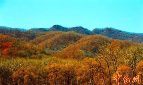 关东山干饭盆介绍