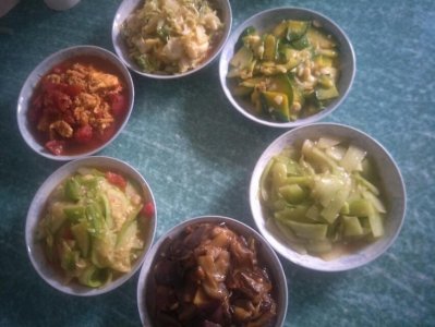 ​贝贝瓜，糖尿病的克星，你家爱吃吗