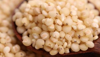 ​高粱米怎么吃最好吃（高粱5种最好吃的做法）