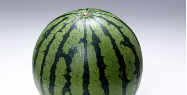 西瓜切开放冰箱放了2天能吃,切开的西瓜放冰箱第二天能吃吗图4