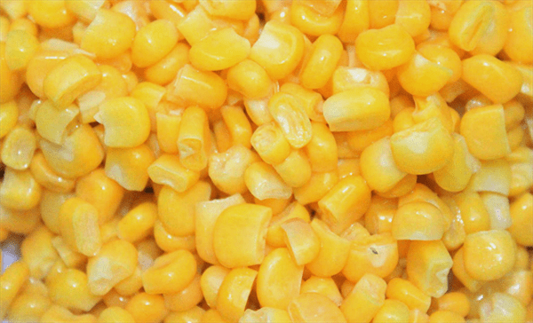 玉米种植技术与管理施肥(玉米的种植方法与时间)