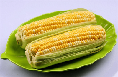 ​玉米种植技术与管理施肥(玉米的种植方法与时间)