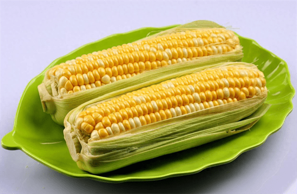 玉米种植技术与管理施肥(玉米的种植方法与时间)