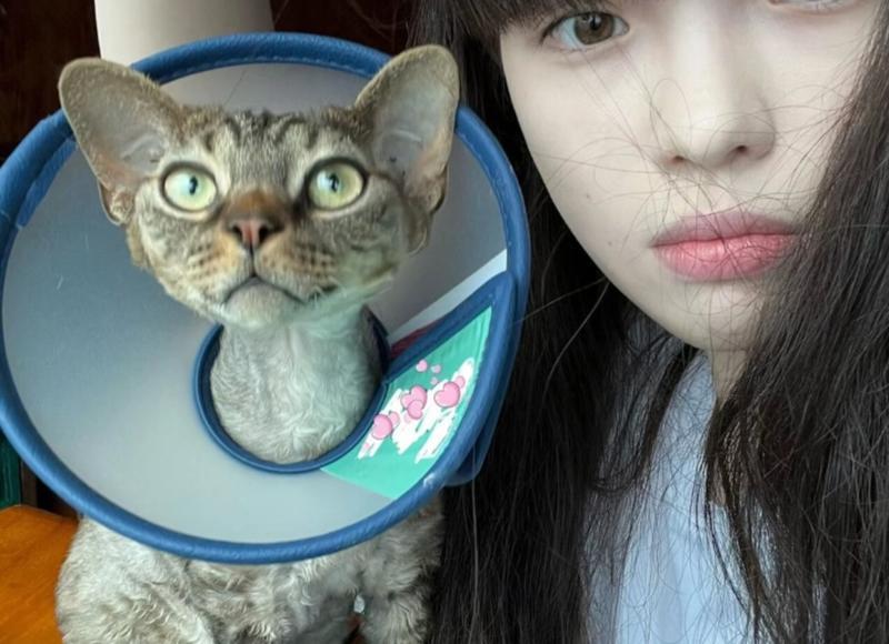 参加婚礼的禁忌有哪些