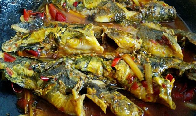 黄辣丁鱼的做法（黄辣丁5种最好吃的烹饪教程）