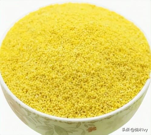 五谷杂粮是哪五种(稻,黍,稷,麦,菽分别是什么东西)