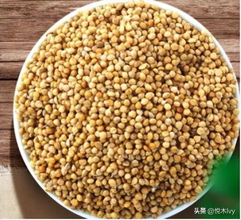 五谷杂粮是哪五种(稻,黍,稷,麦,菽分别是什么东西)