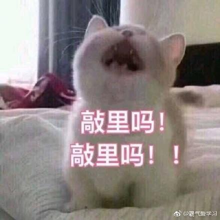 敲里lailai是什么意思？敲里lailai表情包无水印