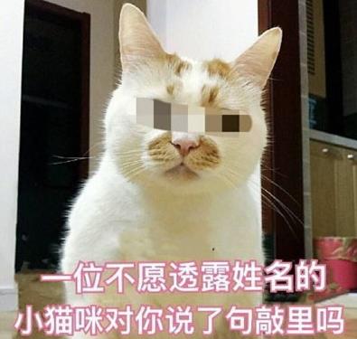 敲里lailai是什么意思？敲里lailai表情包无水印