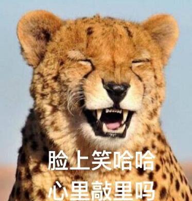 敲里lailai是什么意思？敲里lailai表情包无水印