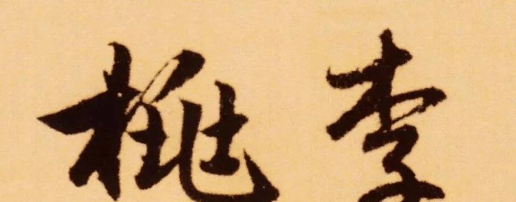 桃李之年多少岁几年级学的