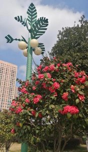 ​真正的人是什么