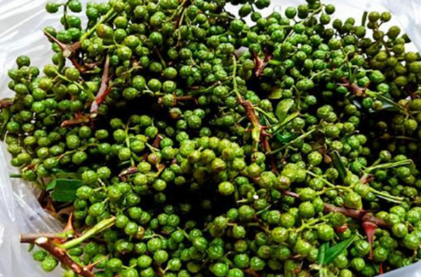 鲜花椒怎么保存不变色又保鲜,鲜花椒怎么保存不变色又保鲜图3