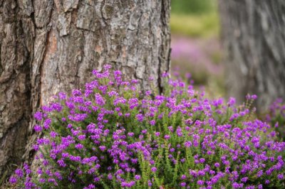 ​男人会和自己不喜欢的女人接吻吗，暗示了他有没有真的喜欢你