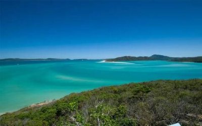 ​童年读书笔记500字左右（童年优秀读后感）