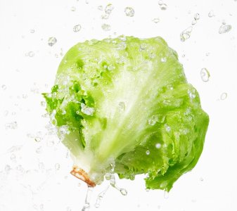 ​生菜怎么洗比较干净（让生菜变脆的50℃水清洗法）