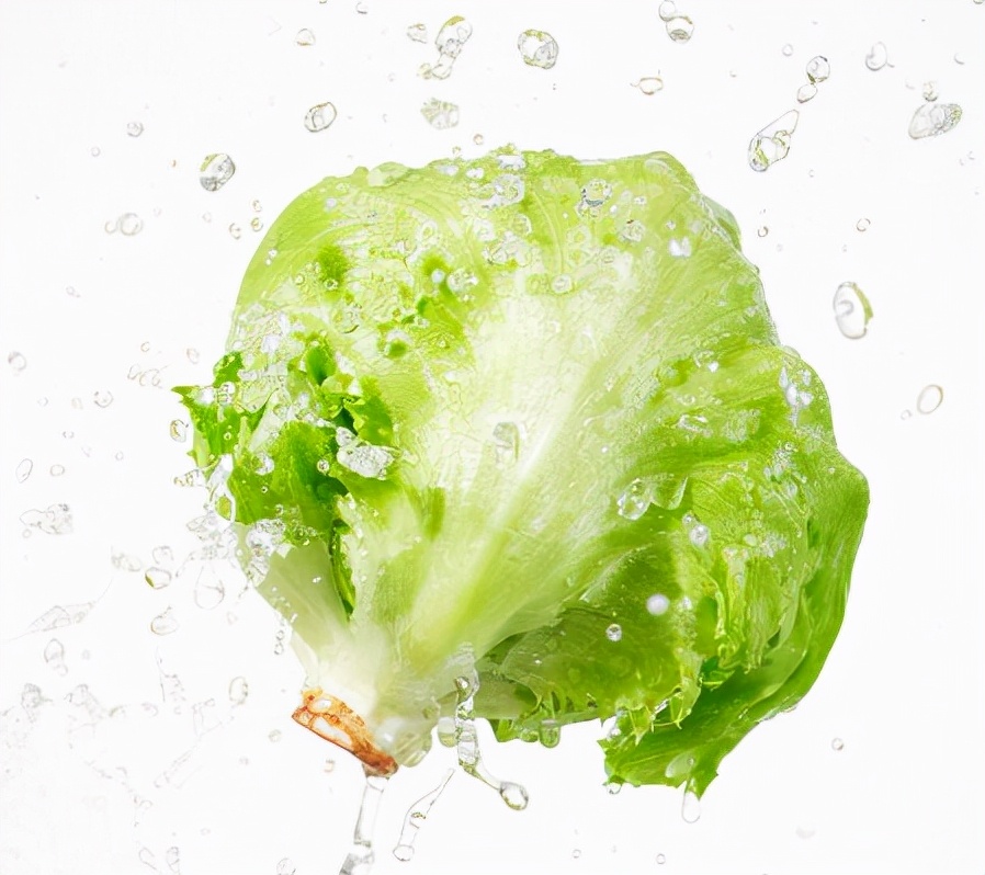 生菜怎么洗比较干净（让生菜变脆的50℃水清洗法）