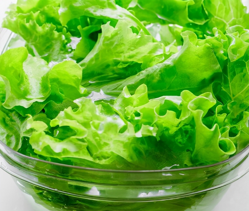 生菜怎么洗比较干净（让生菜变脆的50℃水清洗法）