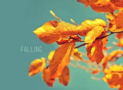 ​木字旁的字有哪些适合取名