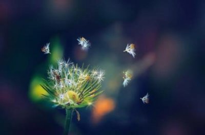 ​比特币在中国合法吗？中国公民投资比特币非法吗？