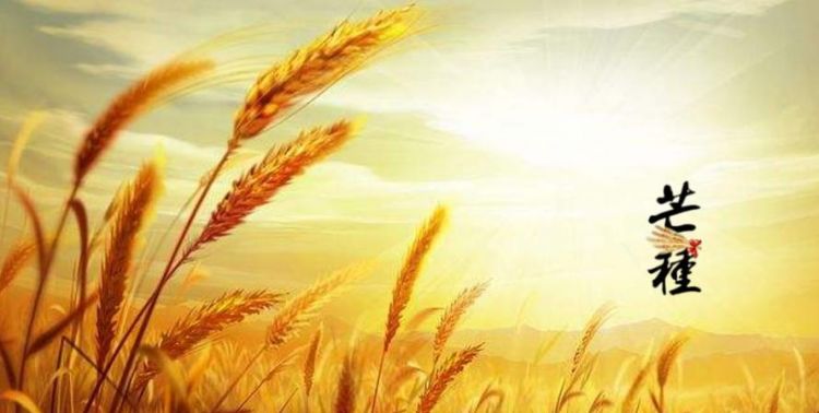 大满节气的含义是什么