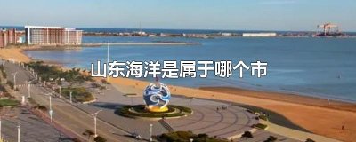 ​山东海洋是属于哪个市