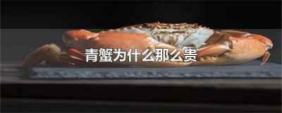 ​青蟹贵还是毛蟹贵 青蟹和白蟹哪个贵