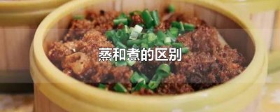 ​蒸和煮的区别