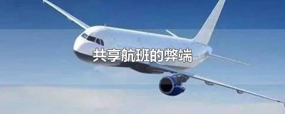 ​共享航班有什么用 什么是共享航班和主飞航班