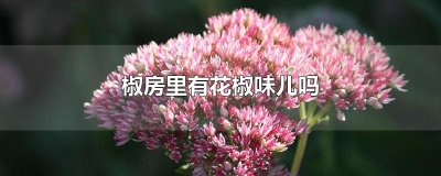 ​椒房里有花椒味儿吗