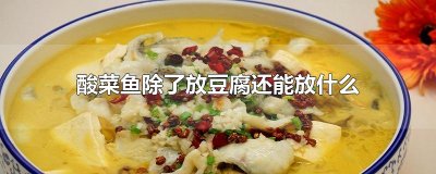 ​酸菜鱼除了放豆腐还能放什么