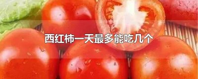 ​西红柿一天最多能吃几个