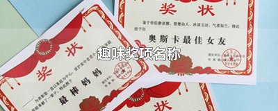 ​趣味奖项名称