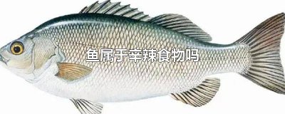 ​鱼汤算辛辣食物吗 酸菜鱼和麻辣鱼