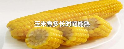 ​玉米煮多长时间能熟