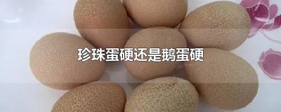 ​珍珠蛋硬还是鹅蛋硬