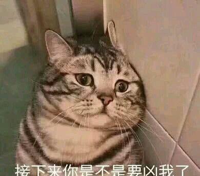 适合跟男朋友撒娇的可爱表情包：人各有相，生有百哭，有你始终甜