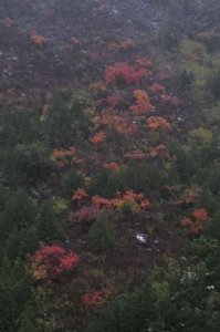 ​佳能G9说明书(佳能g9相机使用说明书电子版)