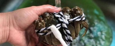 ​大闸蟹蒸之前要洗要怎么洗 蒸大闸蟹需要清洗吗?