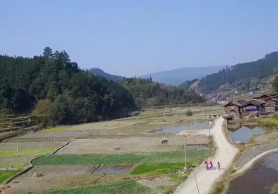 ​承租是什么意思（承购承租是什么意思）