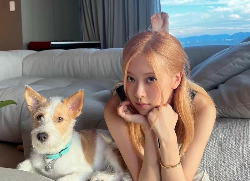 女人分手越绝情越好挽回是真的吗 女人分手越绝情越好挽回是真的吗