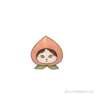 ​可爱猫咪小头像