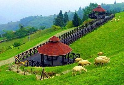 ​十亩地，你会怎样规划精致有特色的家庭农场？